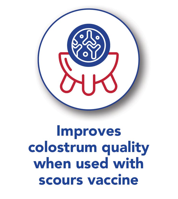 Colostrum Quality Improved